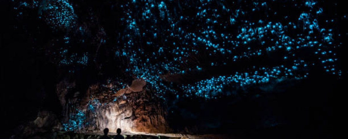 waitomo caves waitomo caves